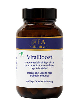 VitalBoost supplement bottle by EA Botanicals on a white background